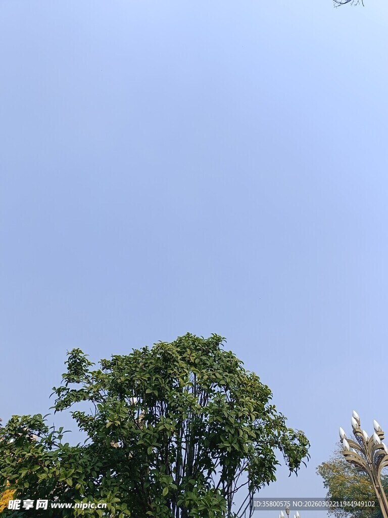 蓝天绿树风景图