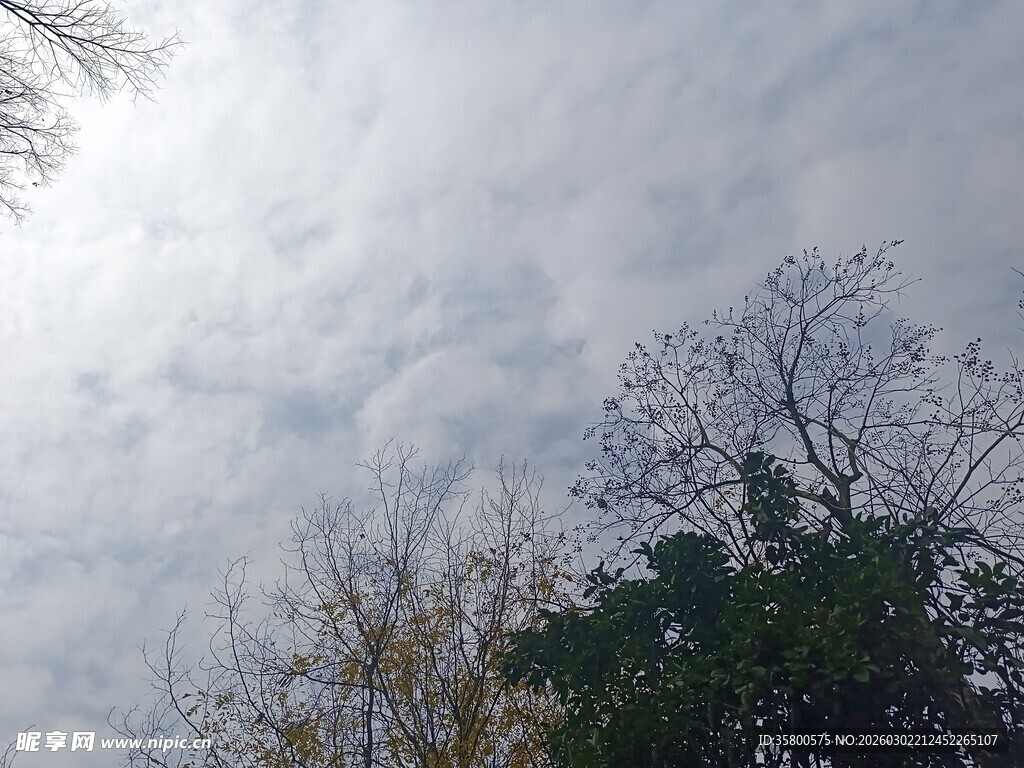 天空中云层与树木景象