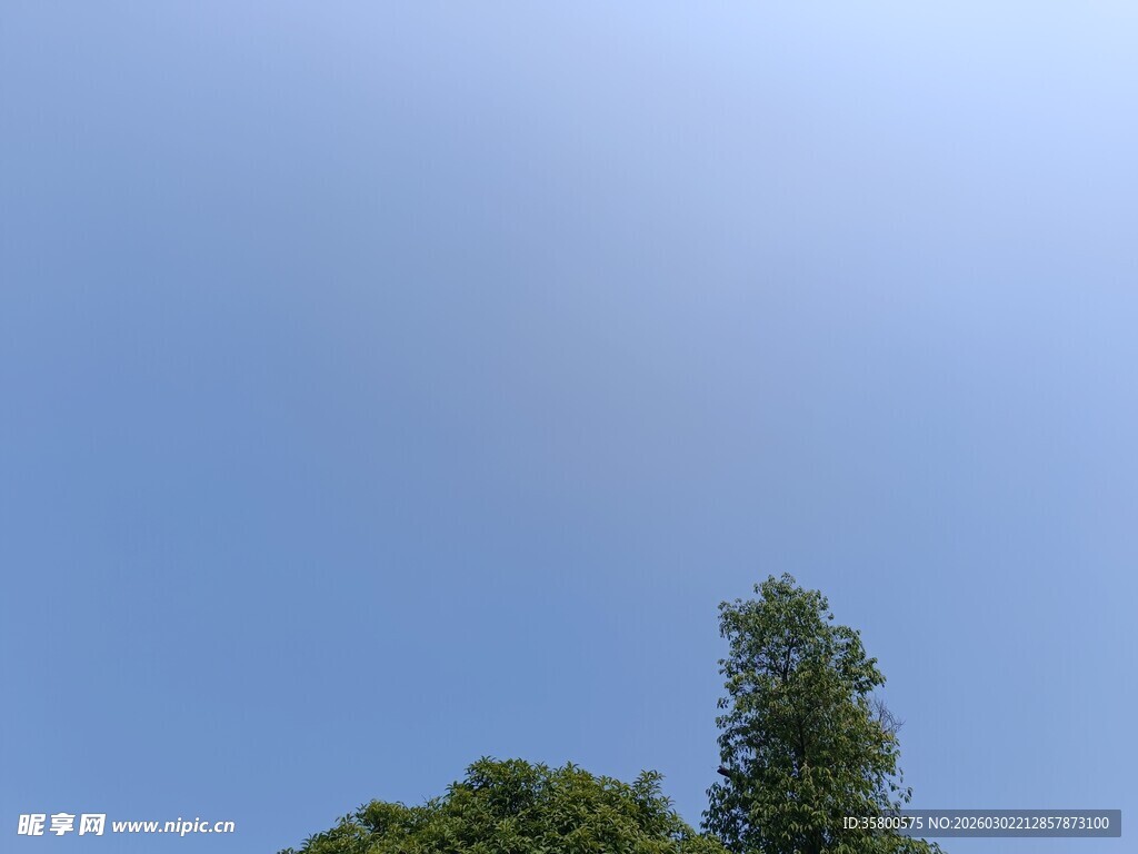 蓝天绿树风景图