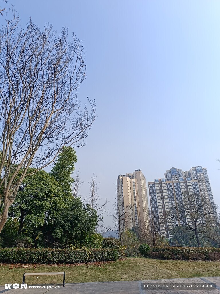 城市公园与远处高楼景观