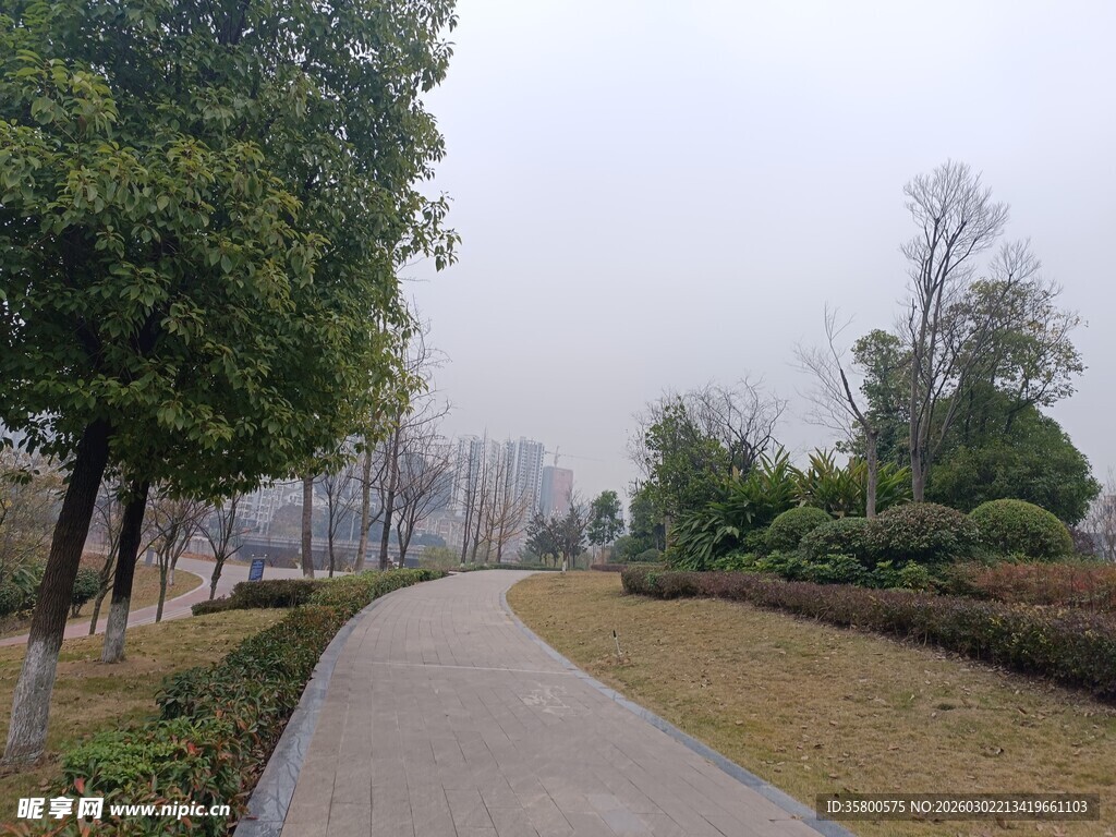 公园幽静小路风景