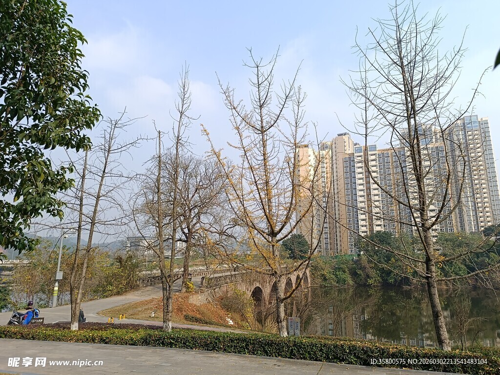 城市公园旁的高楼景观