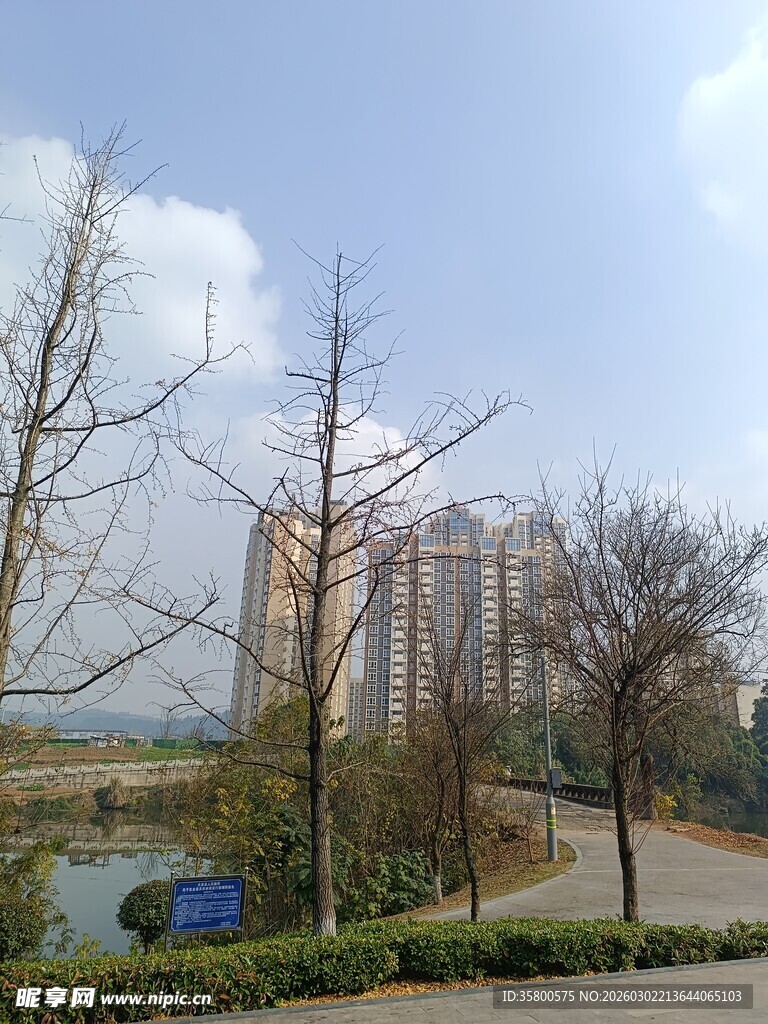 城市公园冬日景观