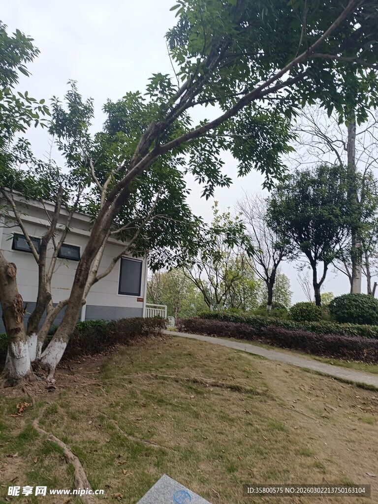 庭院绿树环绕的宁静小屋