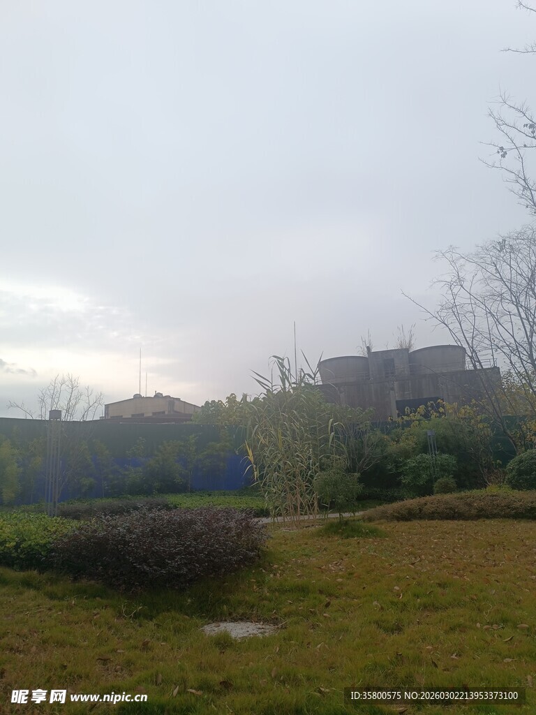 阴天户外草地树木景观