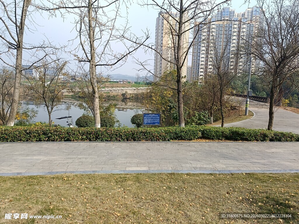 城市公园冬日景观