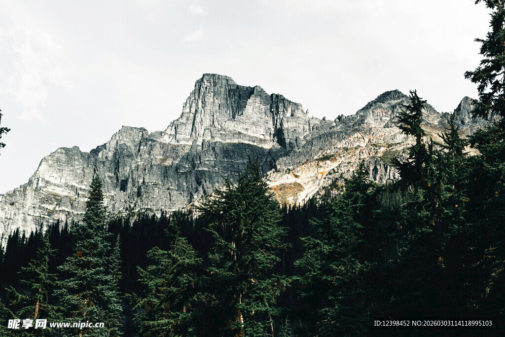 巍峨山峦与茂密森林景观