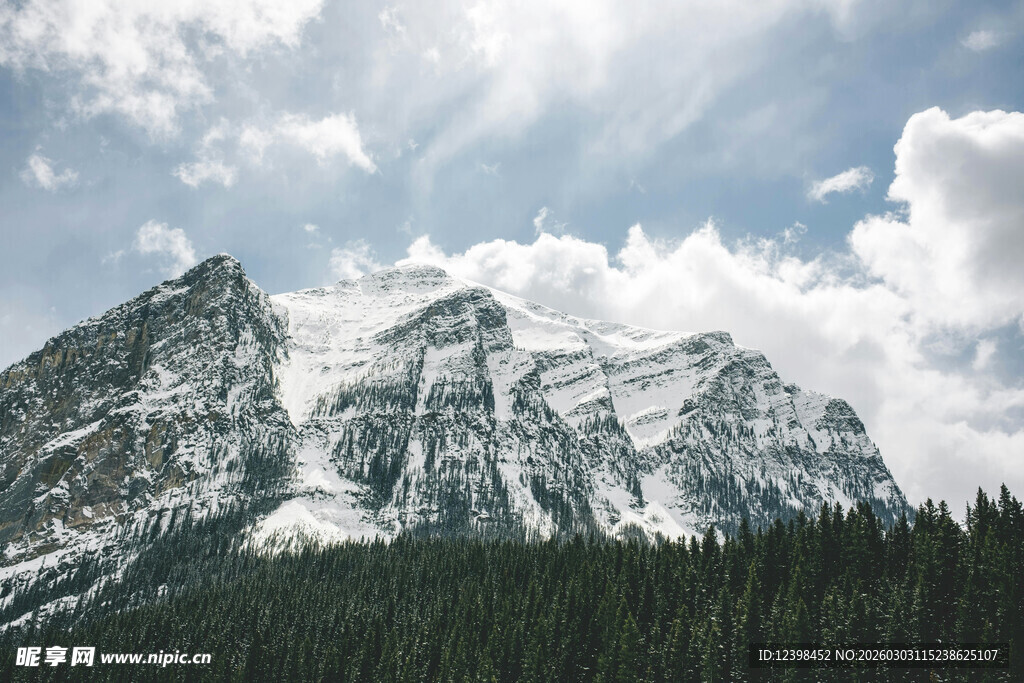 巍峨雪山与葱郁森林景观