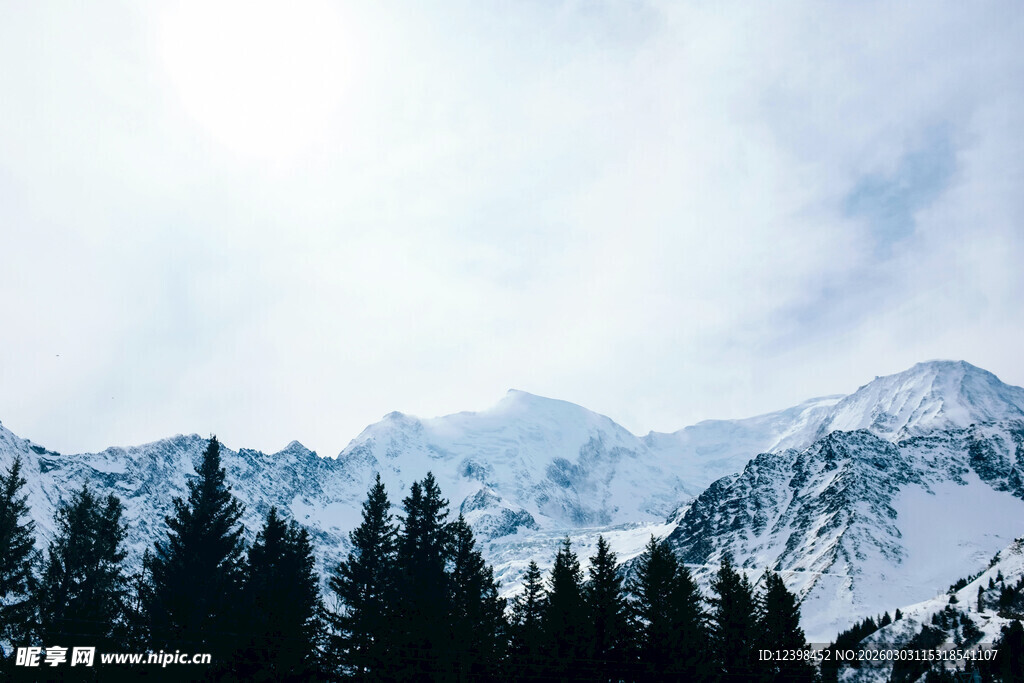 雪山下的茂密森林