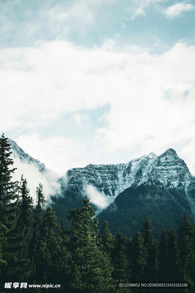 雪山森林美景
