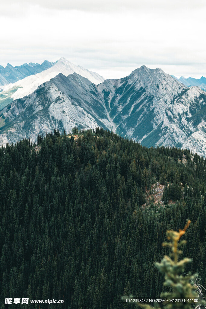 山峦叠翠间的茂密森林