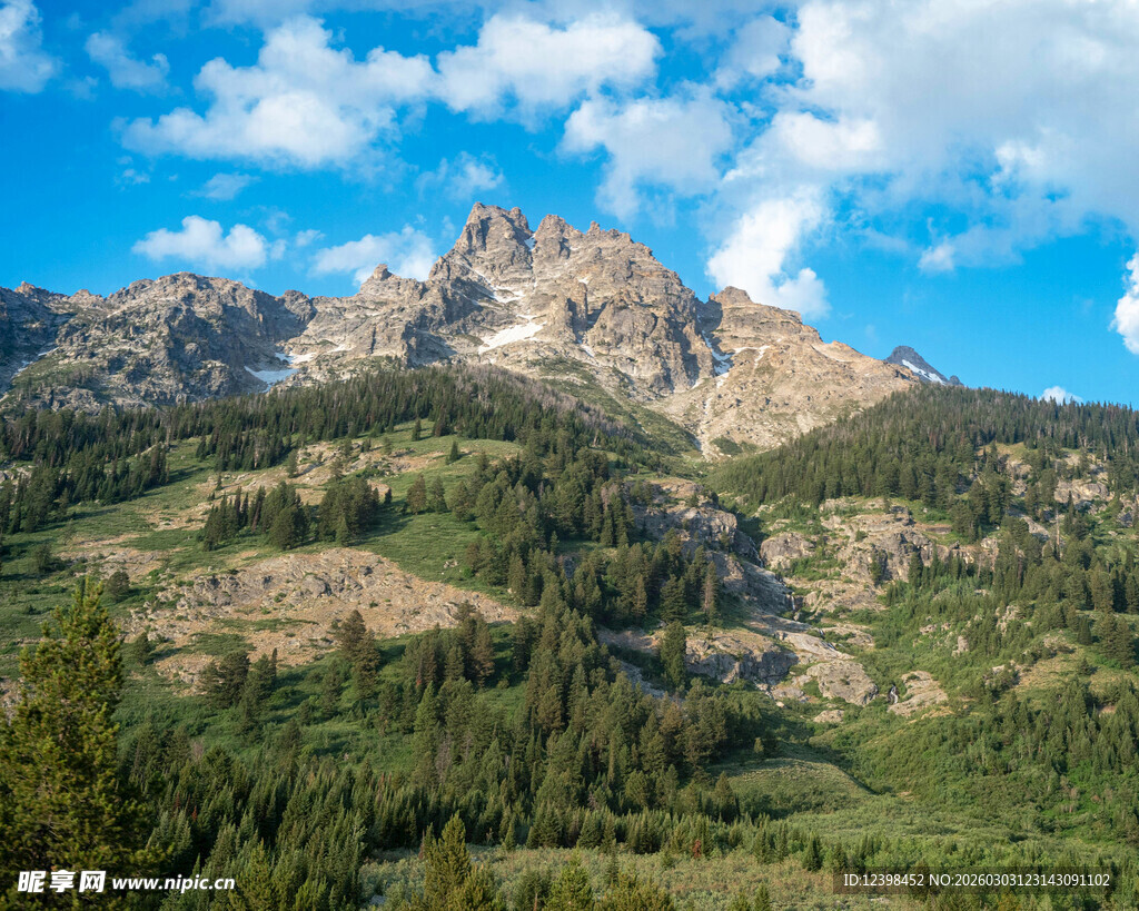 壮丽山景与葱郁森林