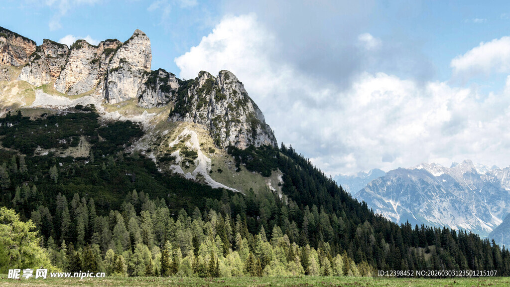壮丽山峦与葱郁森林景观