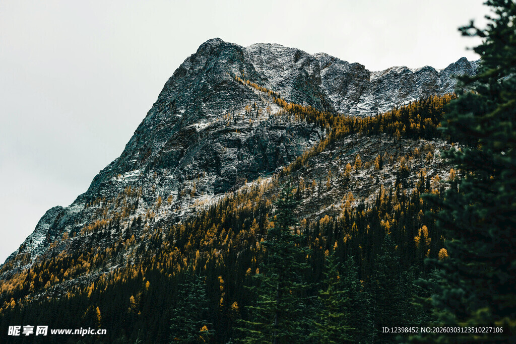 巍峨山峦与金黄植被景观