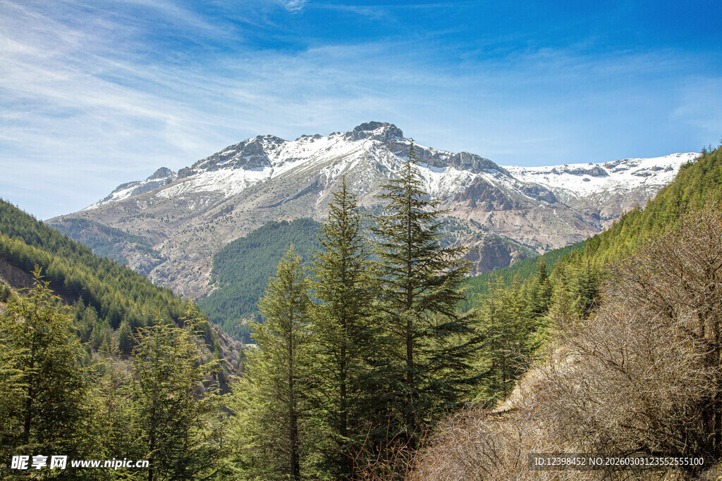 雪山下的葱郁山林美景