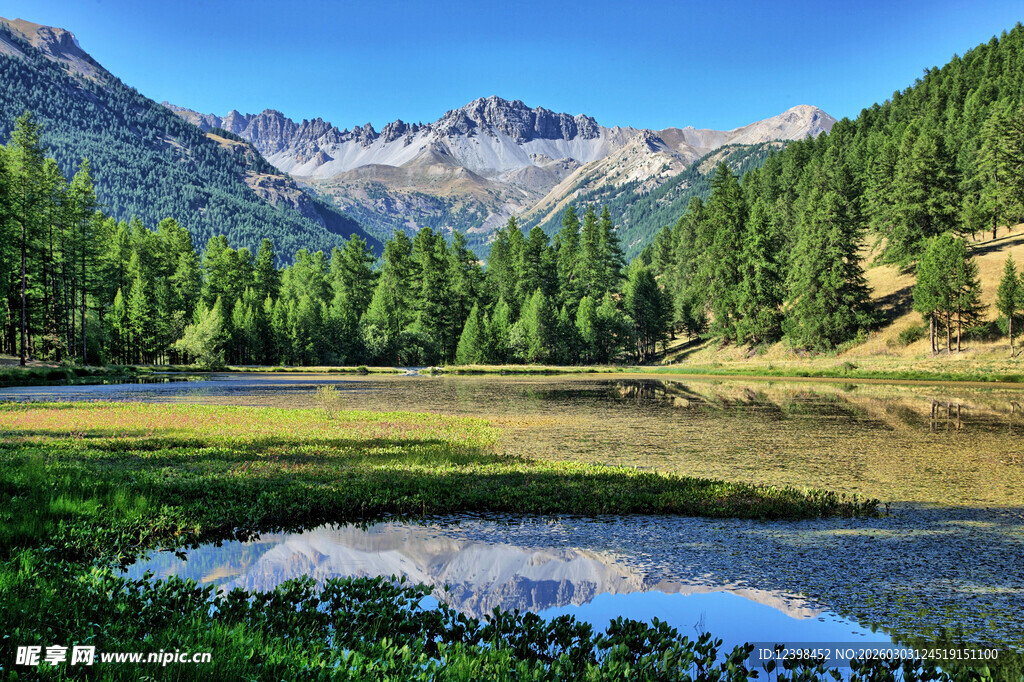 山间静谧湖泊与葱郁山林