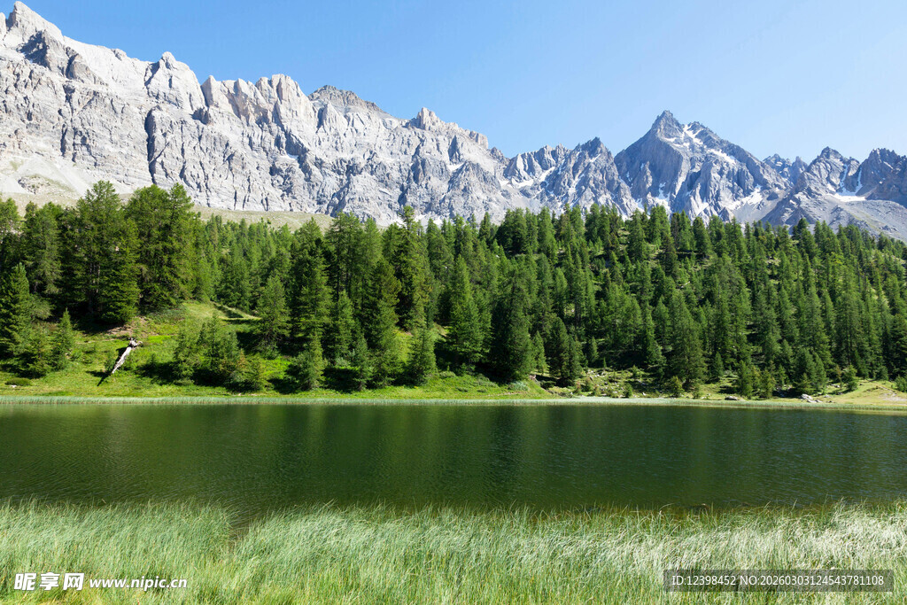 山间湖畔的翠绿景致