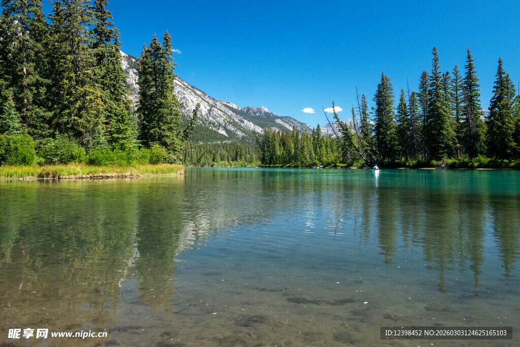 宁静湖畔的自然美景