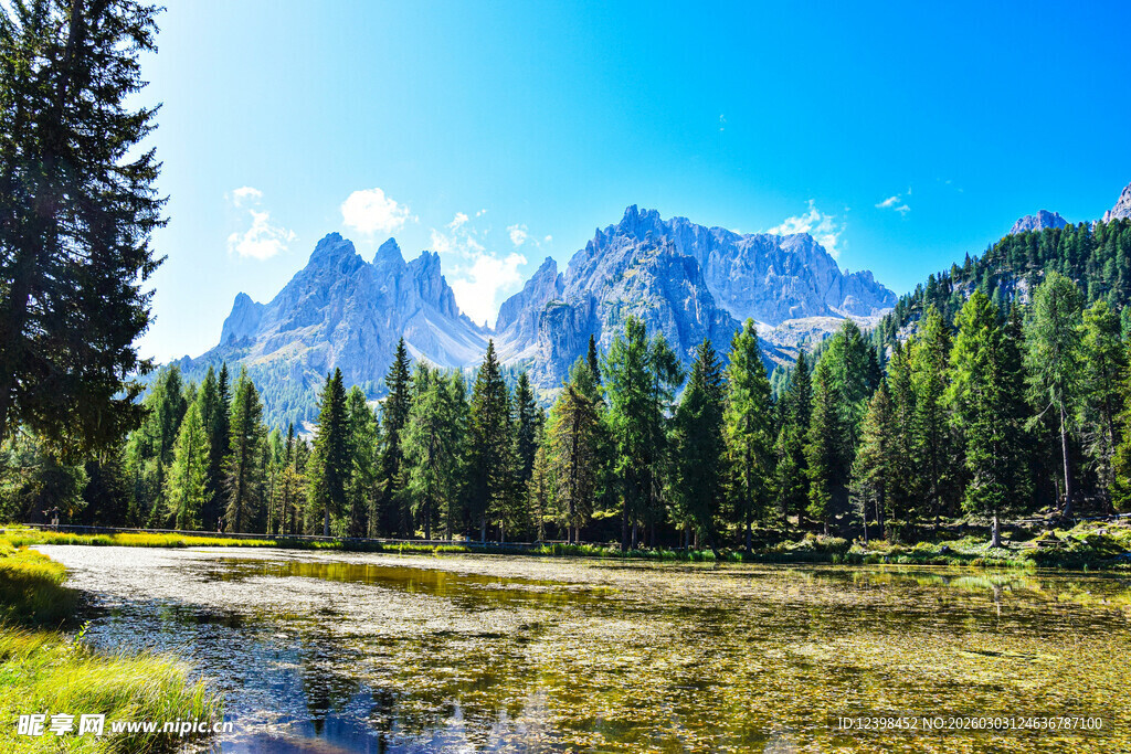山间河畔森林壮丽美景