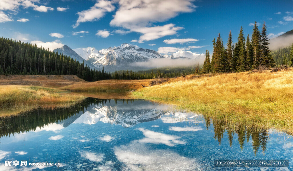 宁静湖景与山林的美丽风光