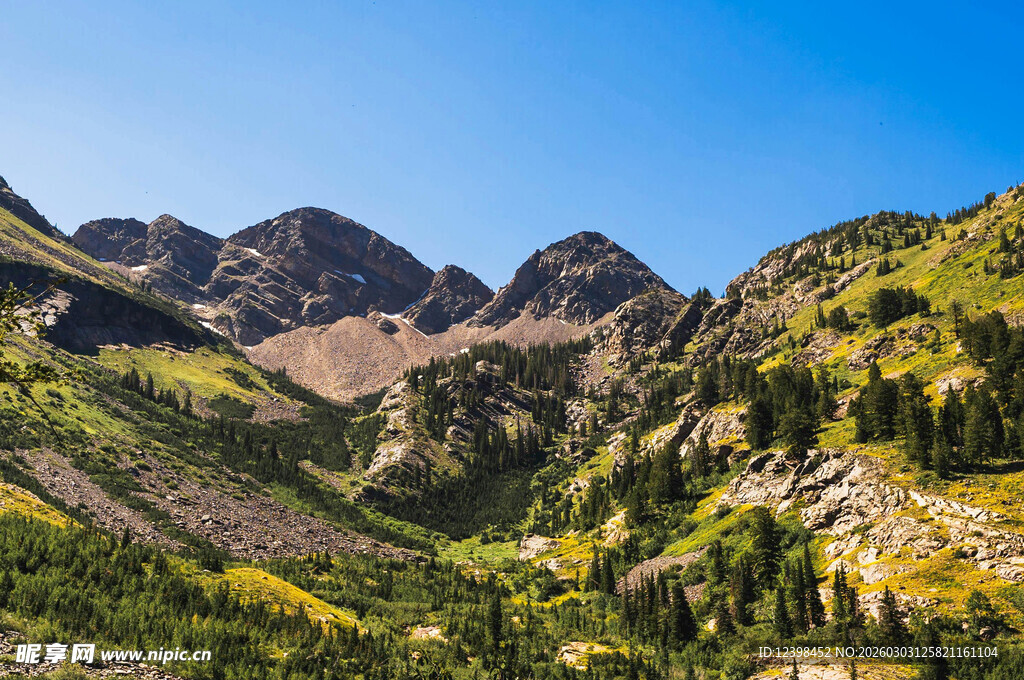 壮丽山峦与葱郁植被景观