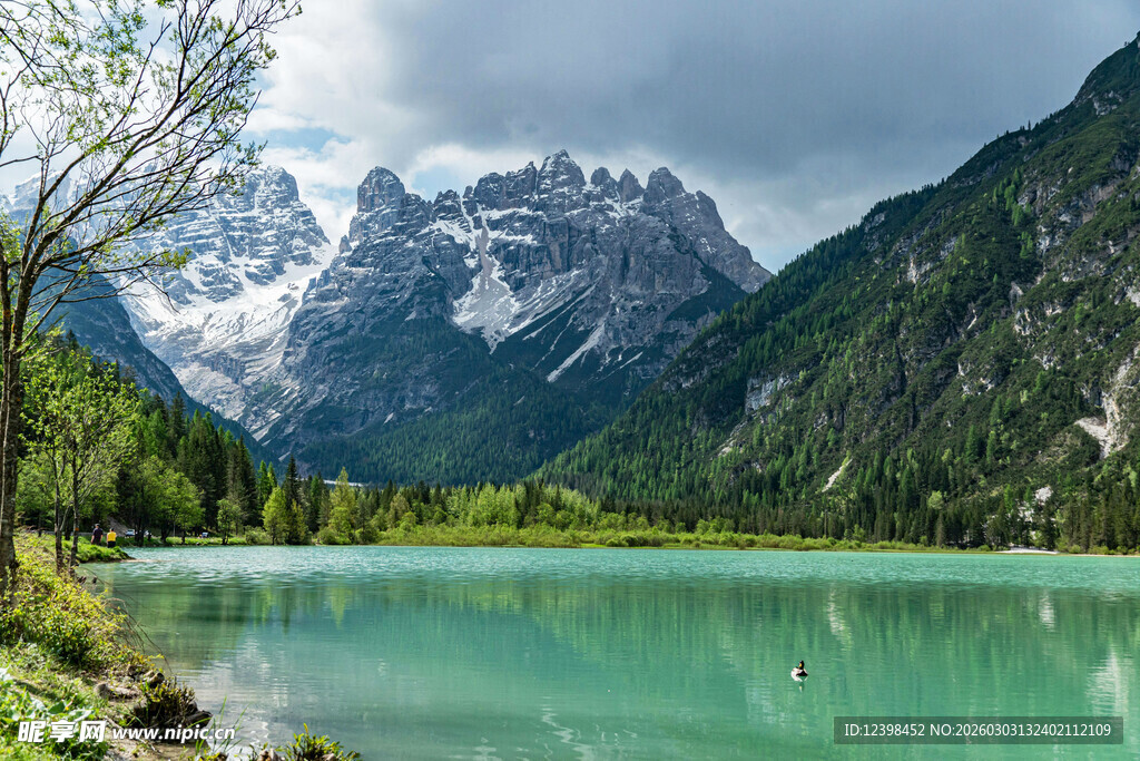 高山湖畔美景
