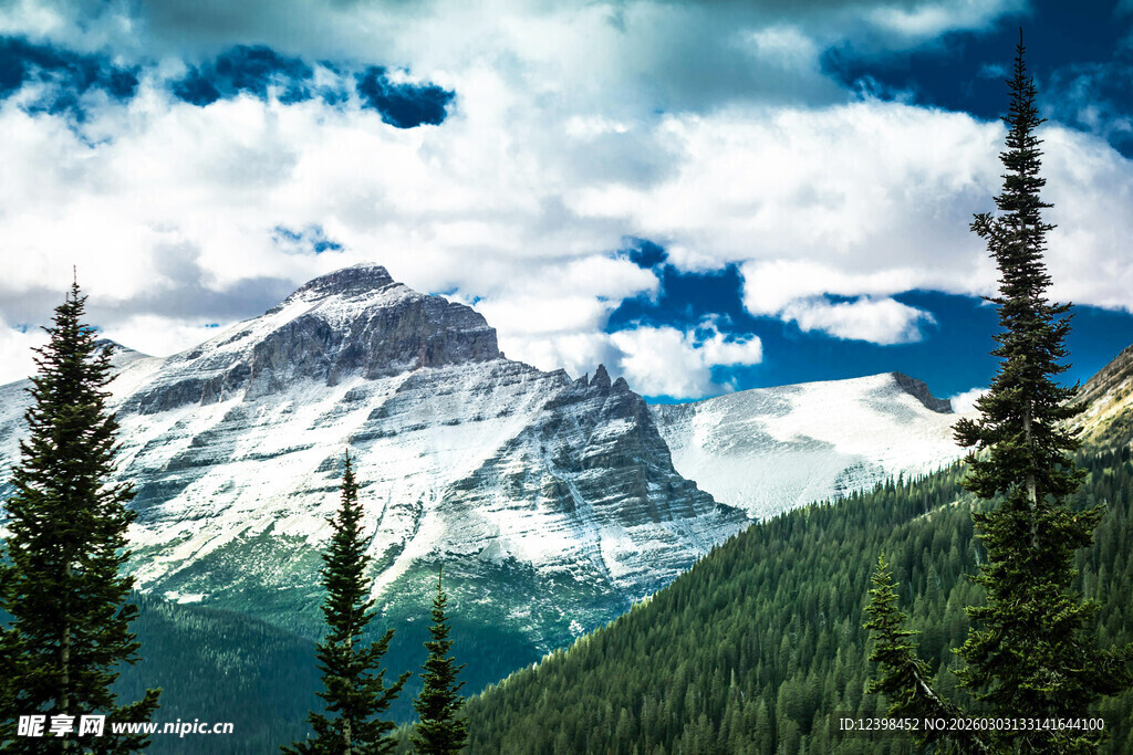 壮丽雪山下的葱郁山林
