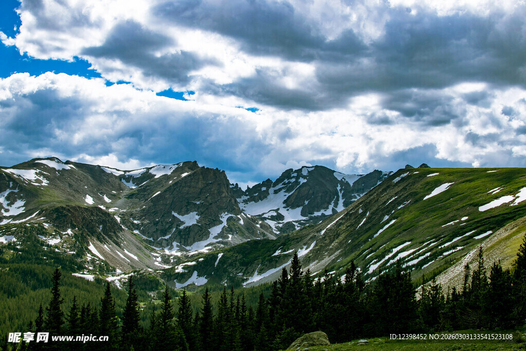 高山森林与云海壮丽景观
