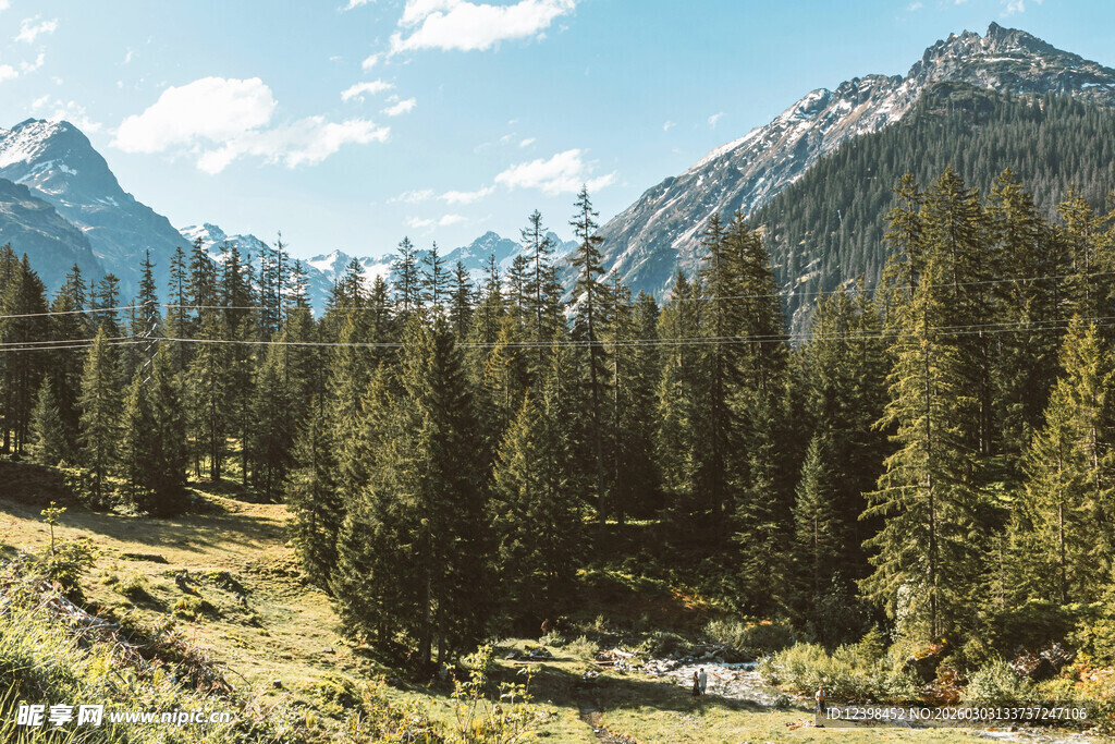 山间葱郁森林与巍峨山脉