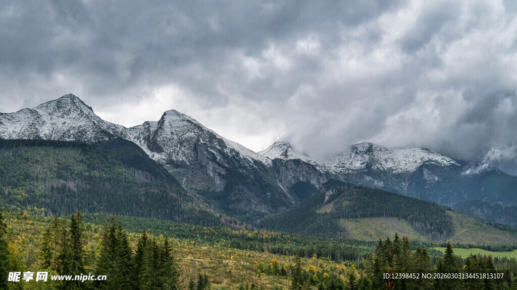 壮丽山峦与茂密森林景观
