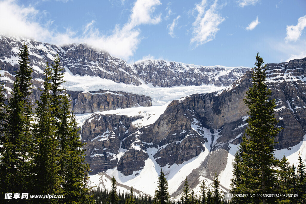 雪山松林壮美自然风光