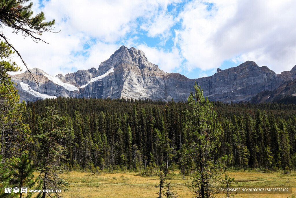 壮丽山景与葱郁森林景观