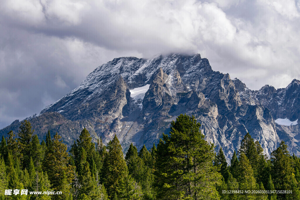 巍峨雪山下的葱郁森林
