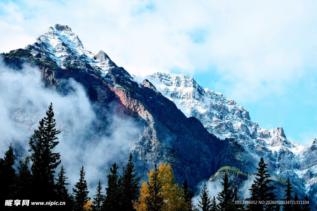 壮丽雪山与森林景观