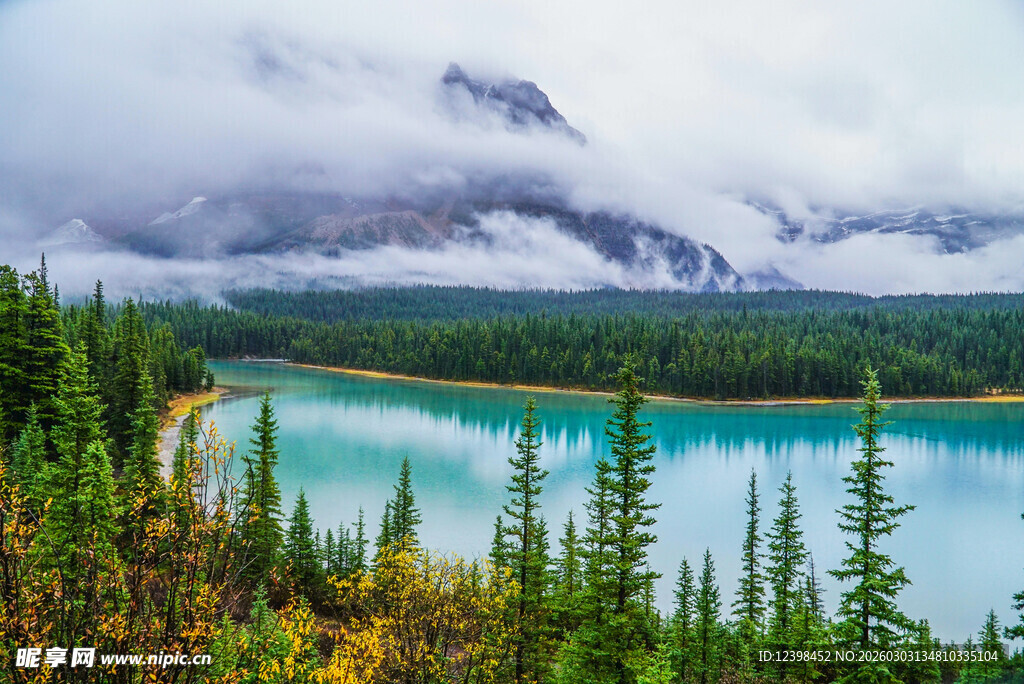 云雾缭绕的湖畔森林美景