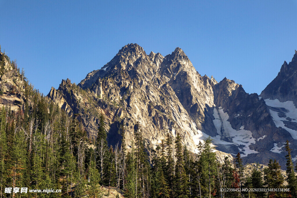 巍峨群山与茂密森林景观