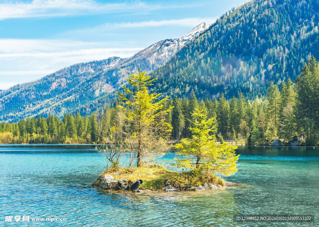 湖心孤树伴青山碧水