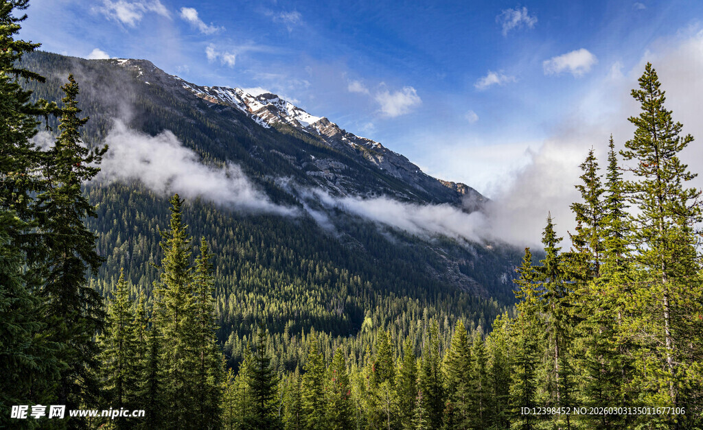 山林间的壮丽山峦景观