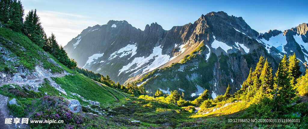 山间绿野与远处雪山美景