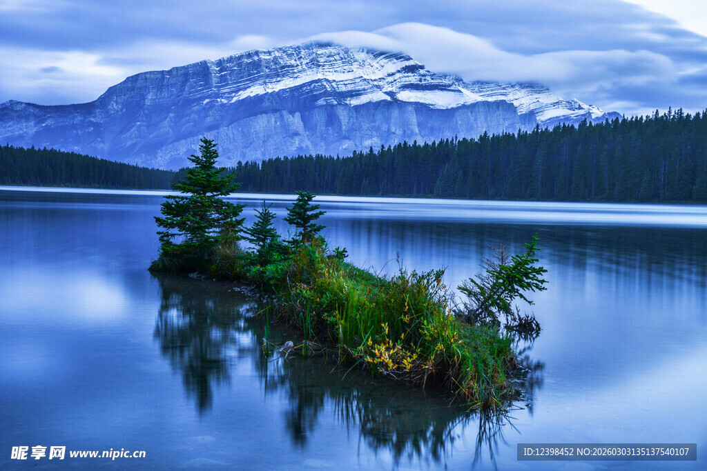 宁静湖畔的雪山绿植景观