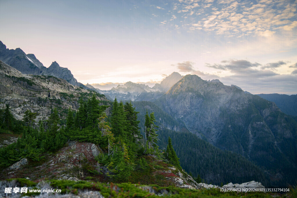 壮丽山景与葱郁森林