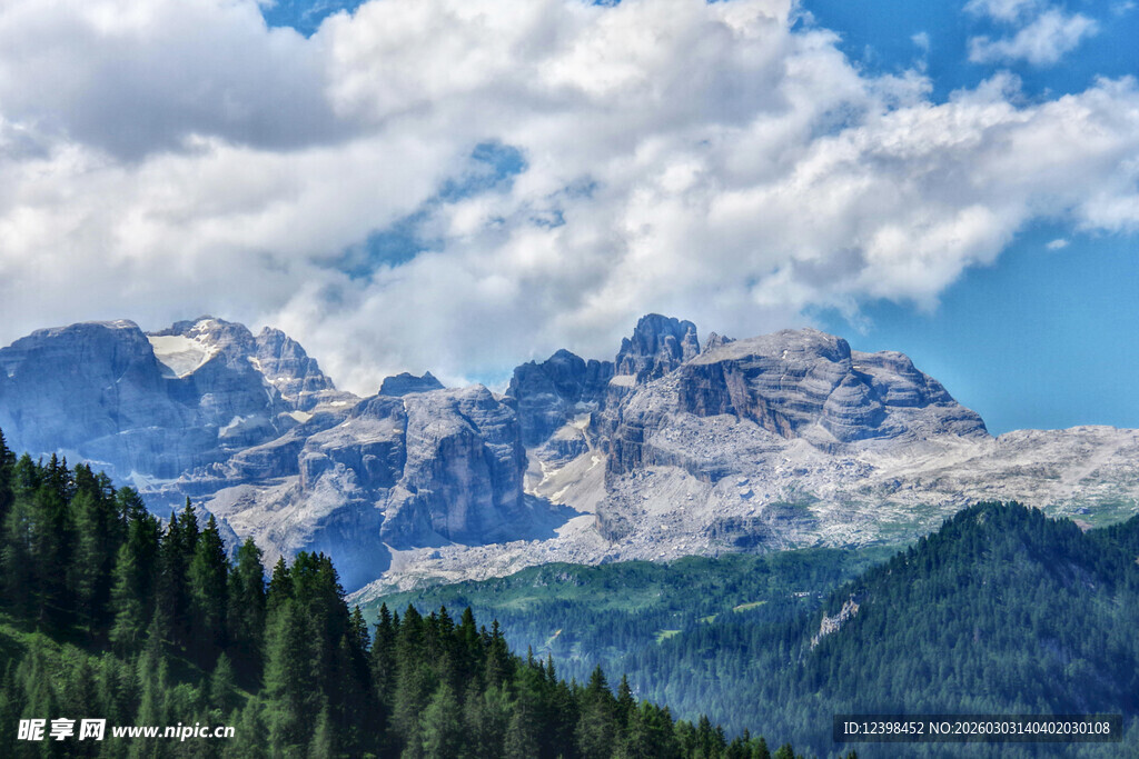 壮丽山景与葱郁森林
