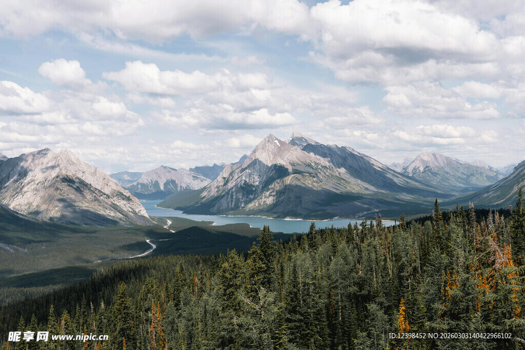 壮丽山景与葱郁森林风光