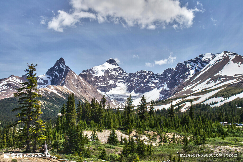 雪山森林壮丽自然景观