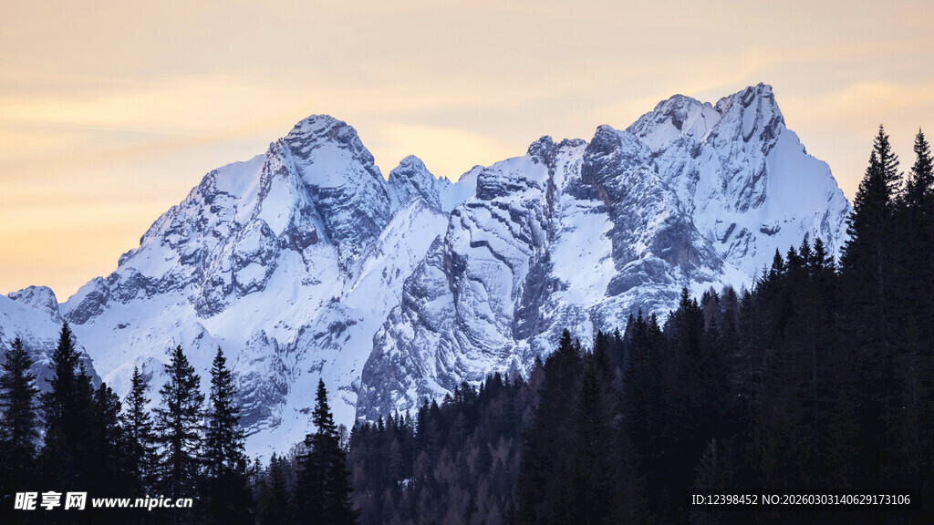 雪山夕照下的森林美景
