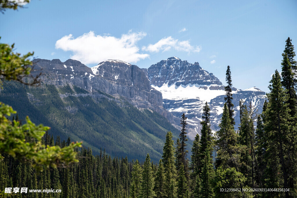 壮丽山林间的巍峨雪山