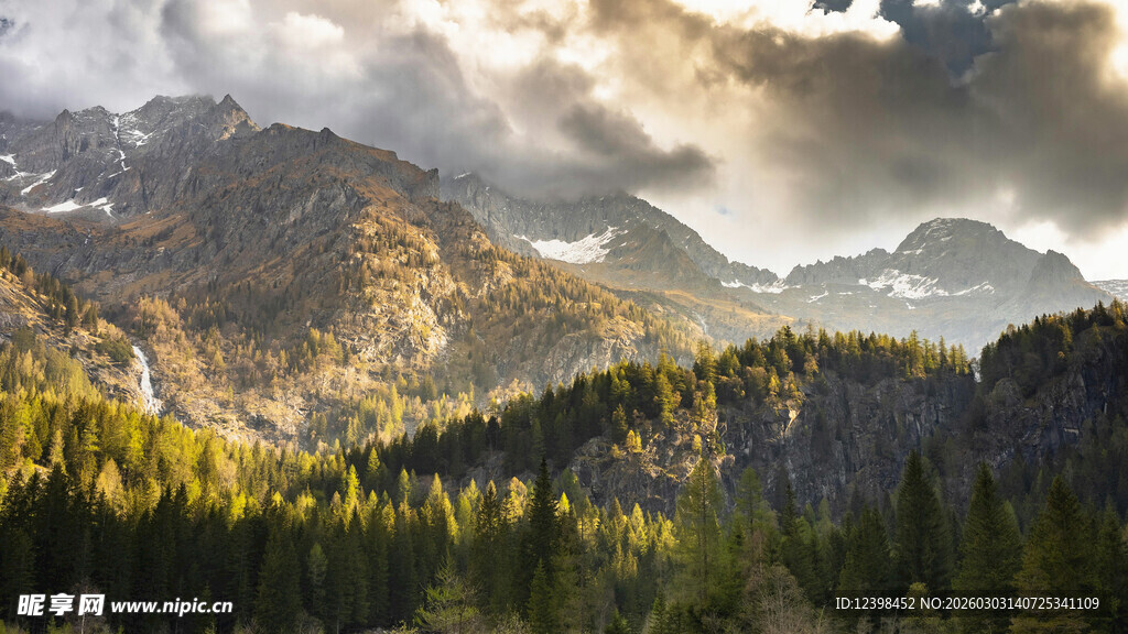 山间晨光下的壮丽山林景色