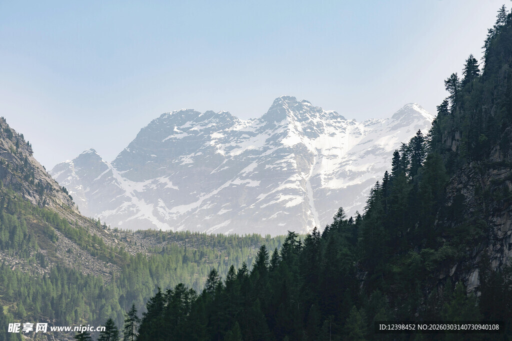 壮丽山景与葱郁森林