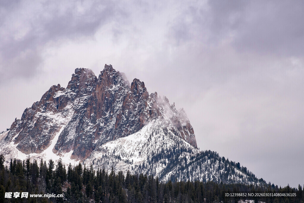 巍峨雪山与森林景观