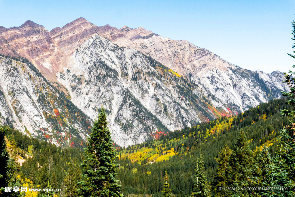 壮丽山峦与葱郁森林景观